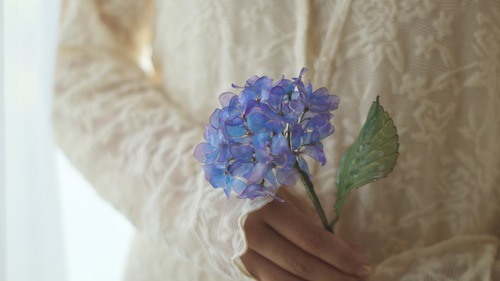 星空色の紫陽花