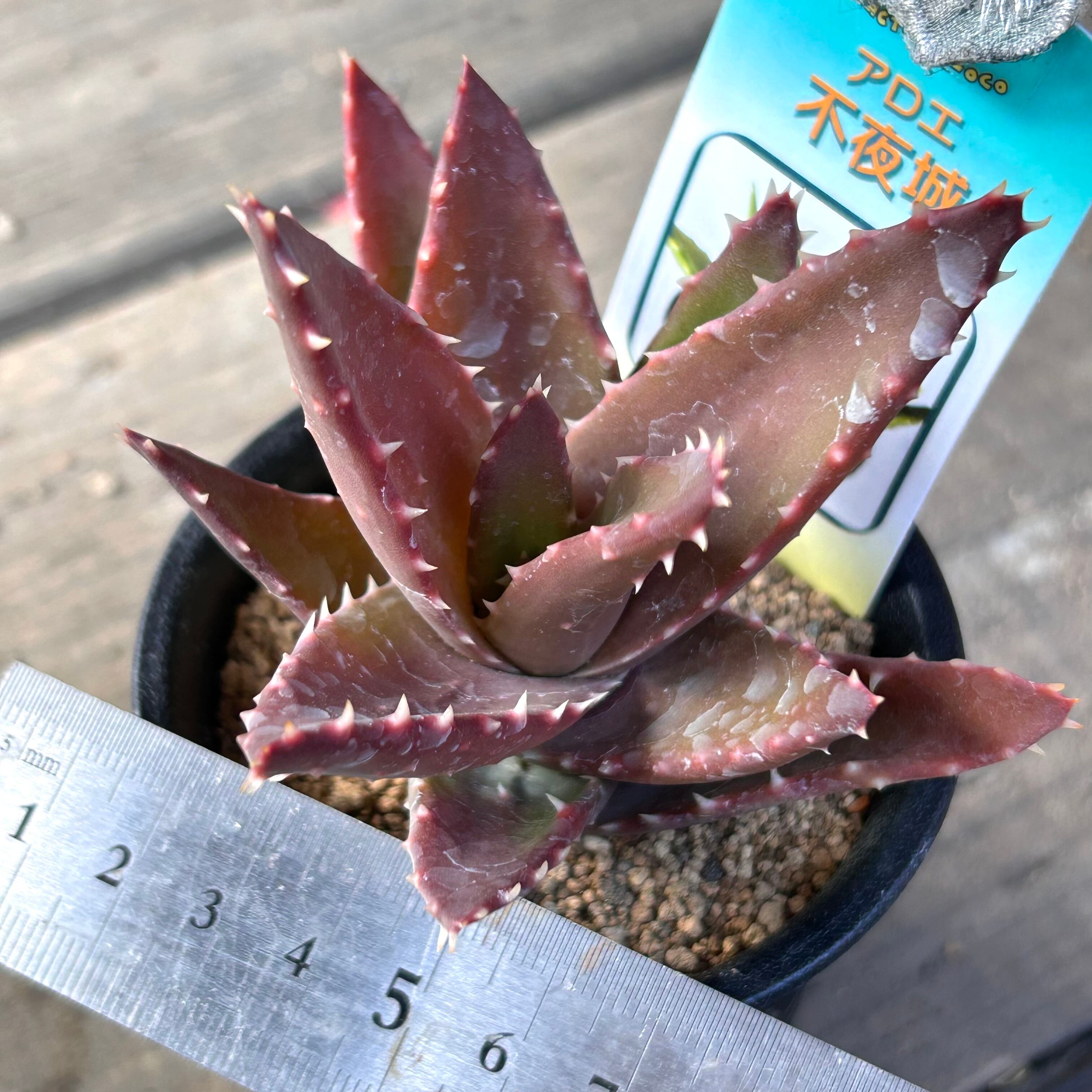 003fb217af4e149501f1b3e1843f60