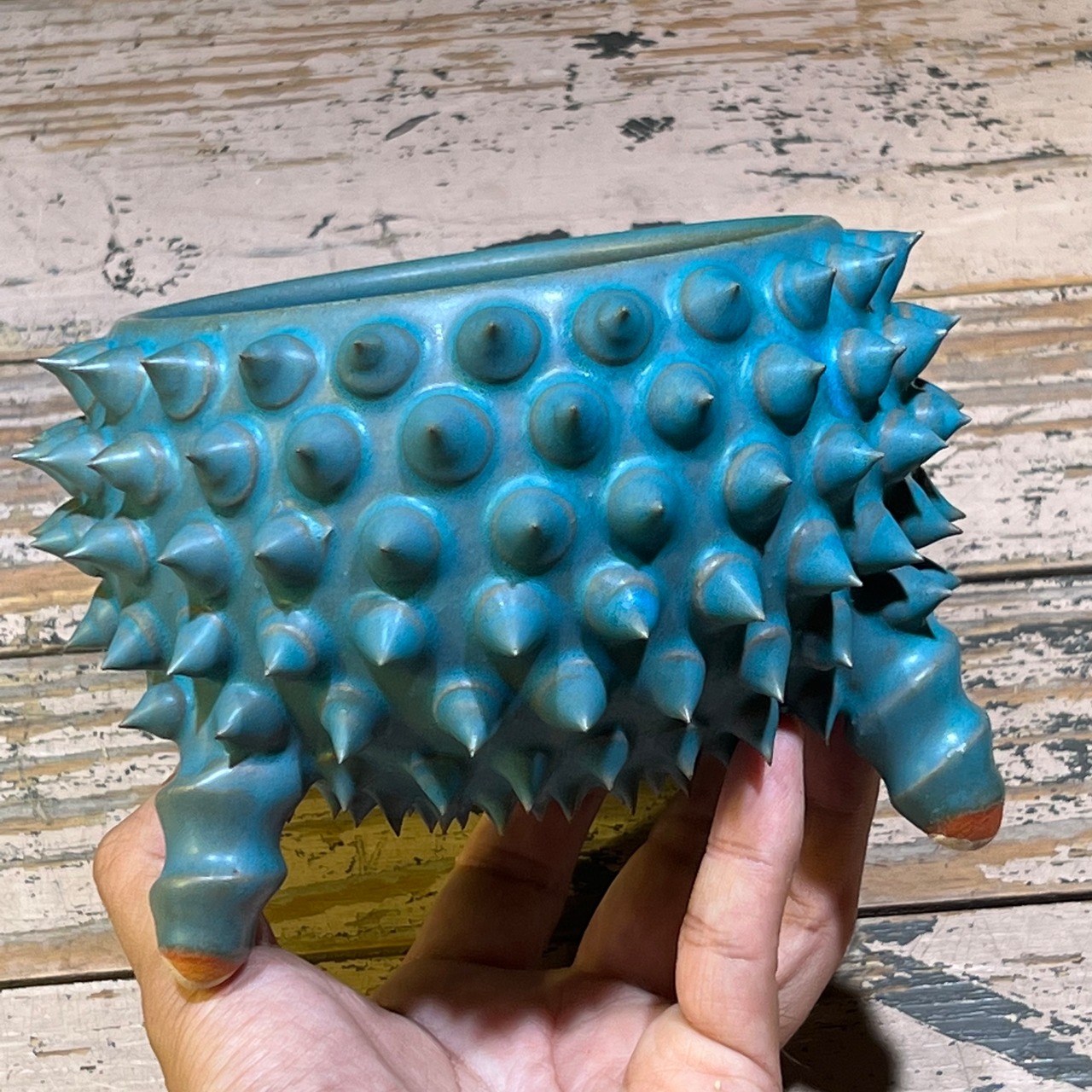 1. 未来薩摩 圭介窯 トゲモノ 植木鉢