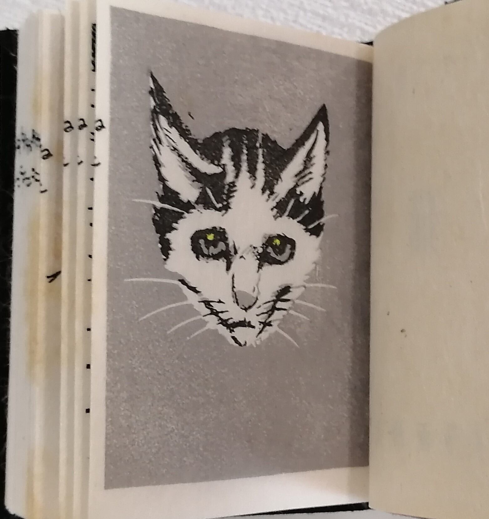 竹久夢二 猫 （豆本） 加藤版画研究所 | 札幌の古書店 ビーバーズ