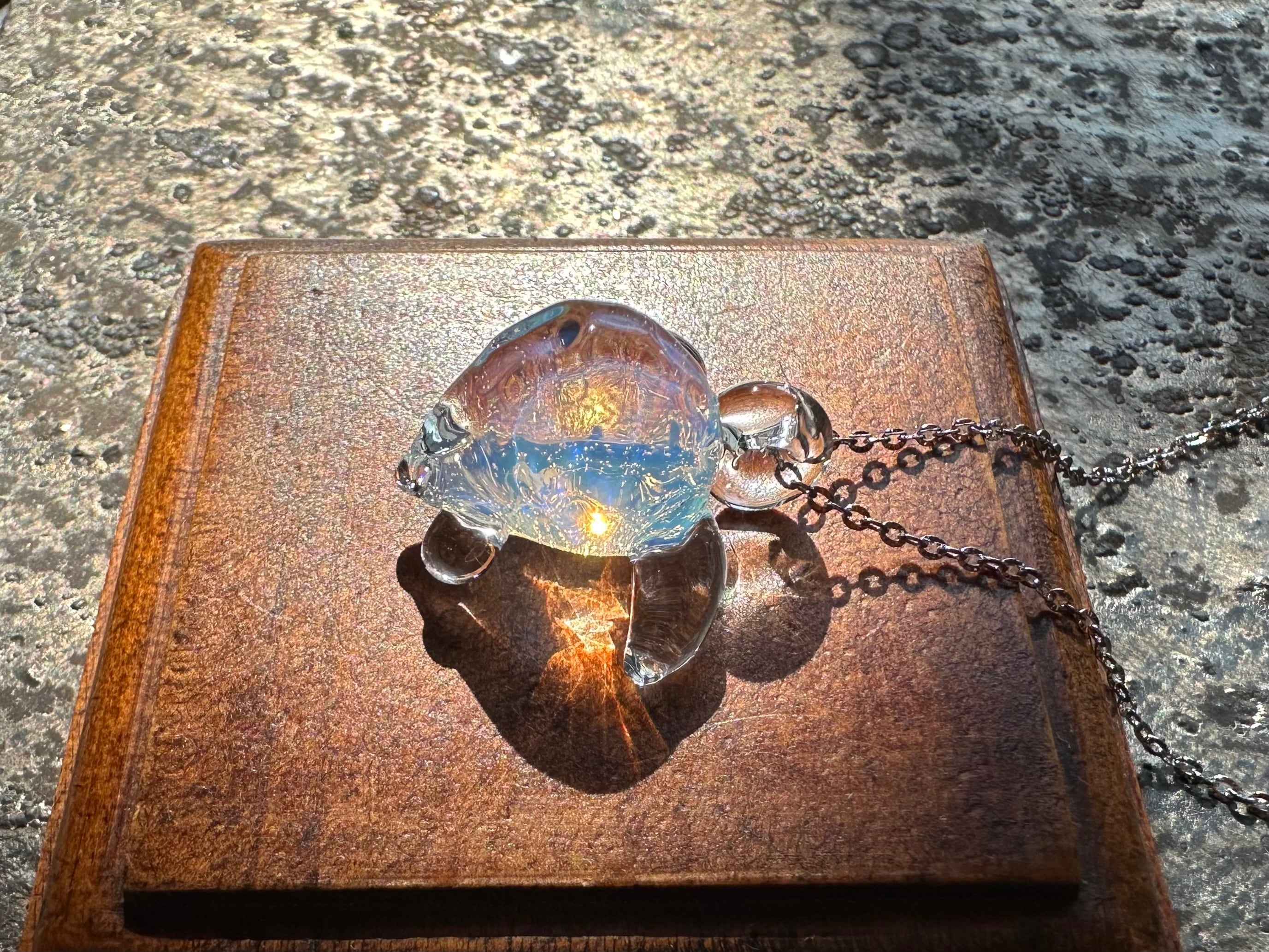 【Seaturtle S size】