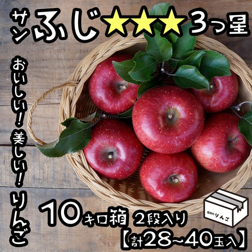りんごサンふじ10㎏（28〜40玉）【★★★】３つ星 ギフトにも