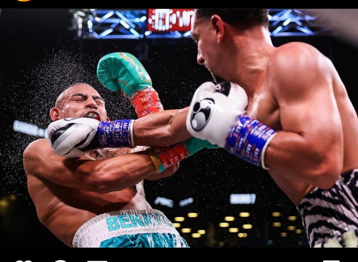 Grantグラントパンチャーグローブ ホワイト ブラック プラチナ ボクシング格闘技専門店 Oldrookie