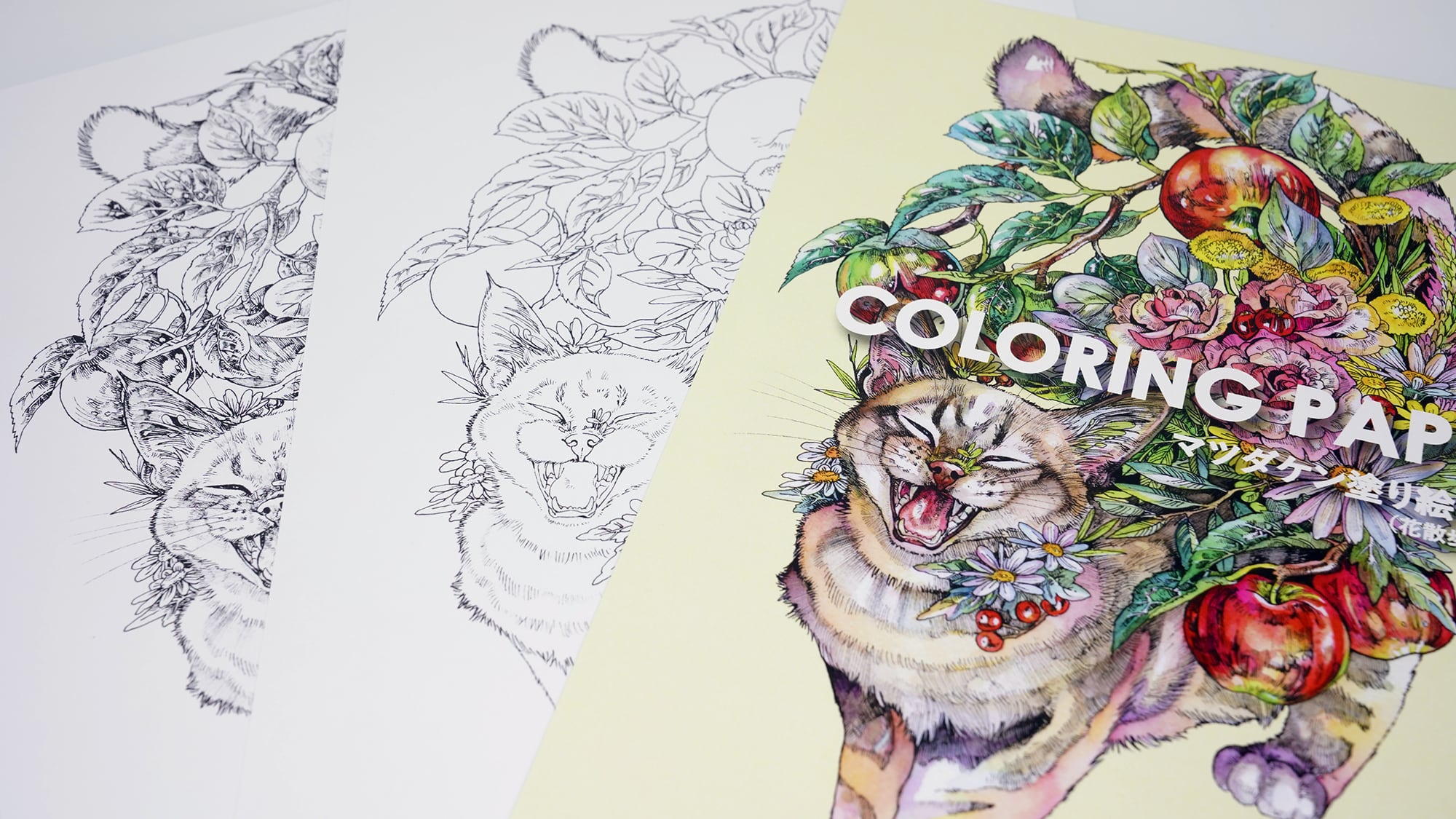 塗絵セット | KEN MATSUDA ONLINE STORE