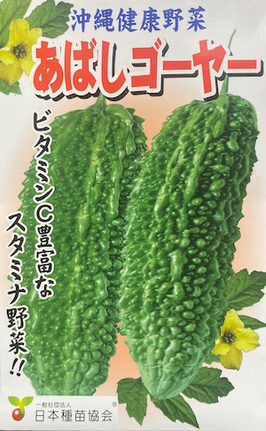 沖縄島野菜種子約8粒「沖縄あばしゴーヤー」＊送料込み