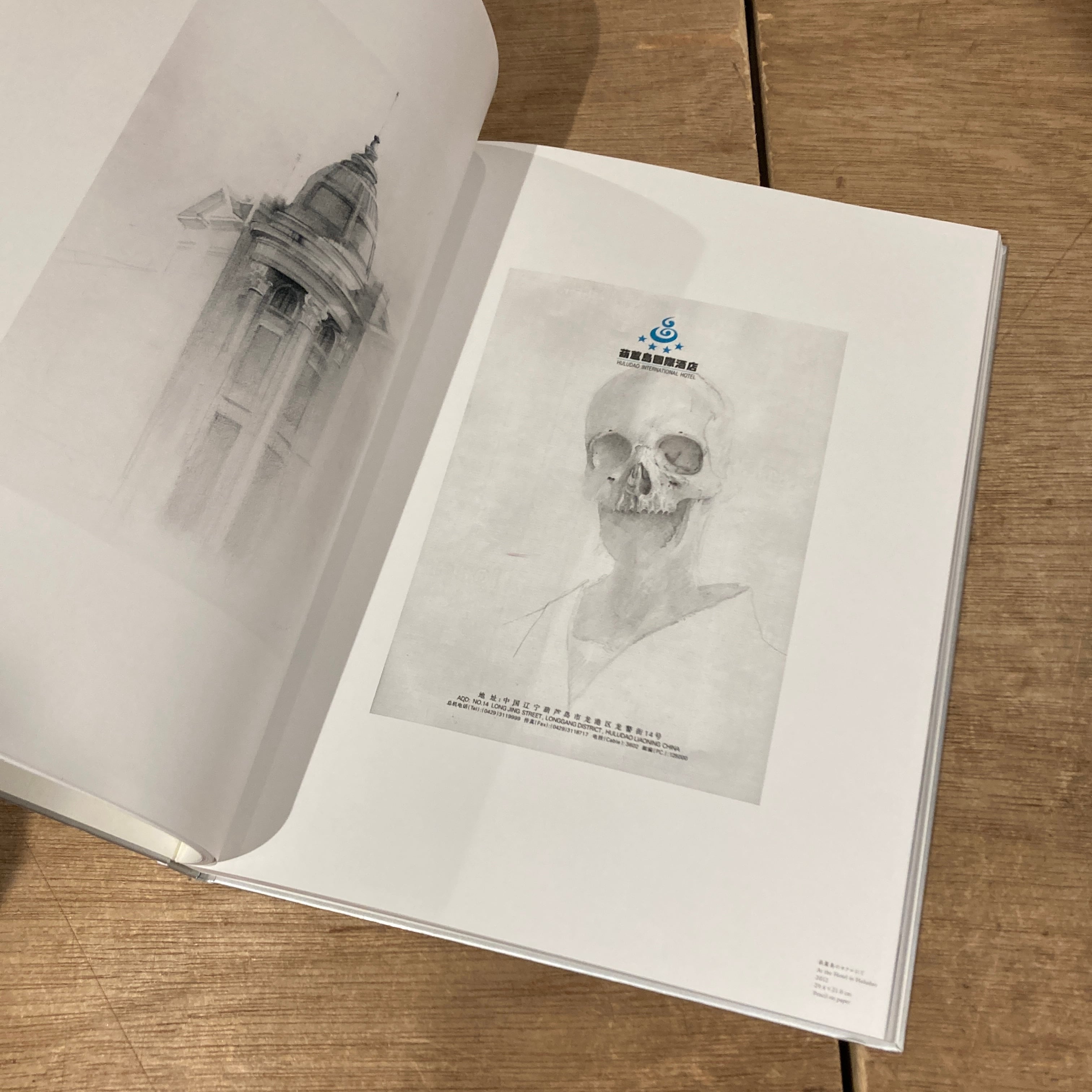 諏訪敦絵画作品集 Blue | 百年