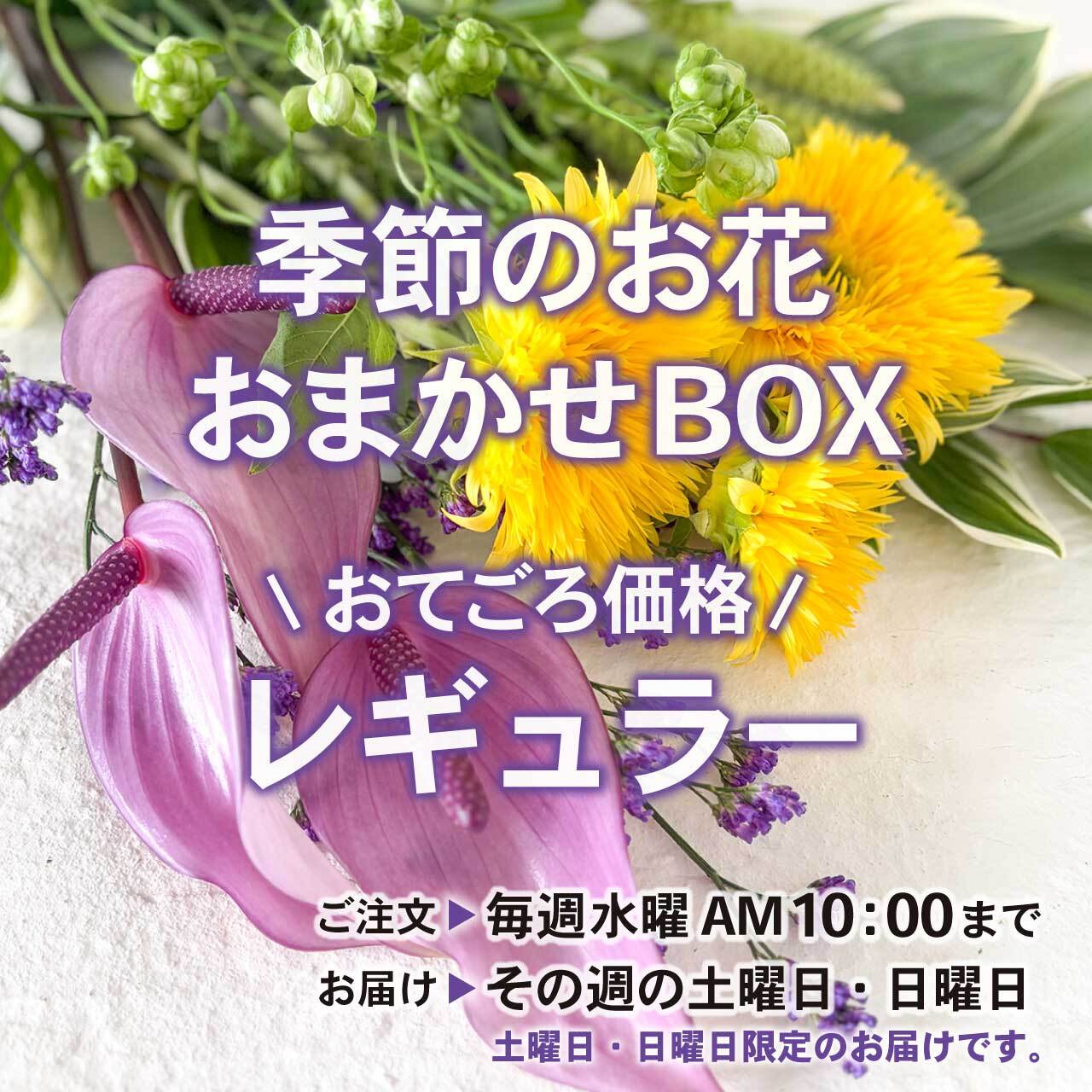【定期便】季節のお花 おまかせBOX《レギュラー》|毎月☆変更|旬の切り花・生花〈フラワーロス削減〉