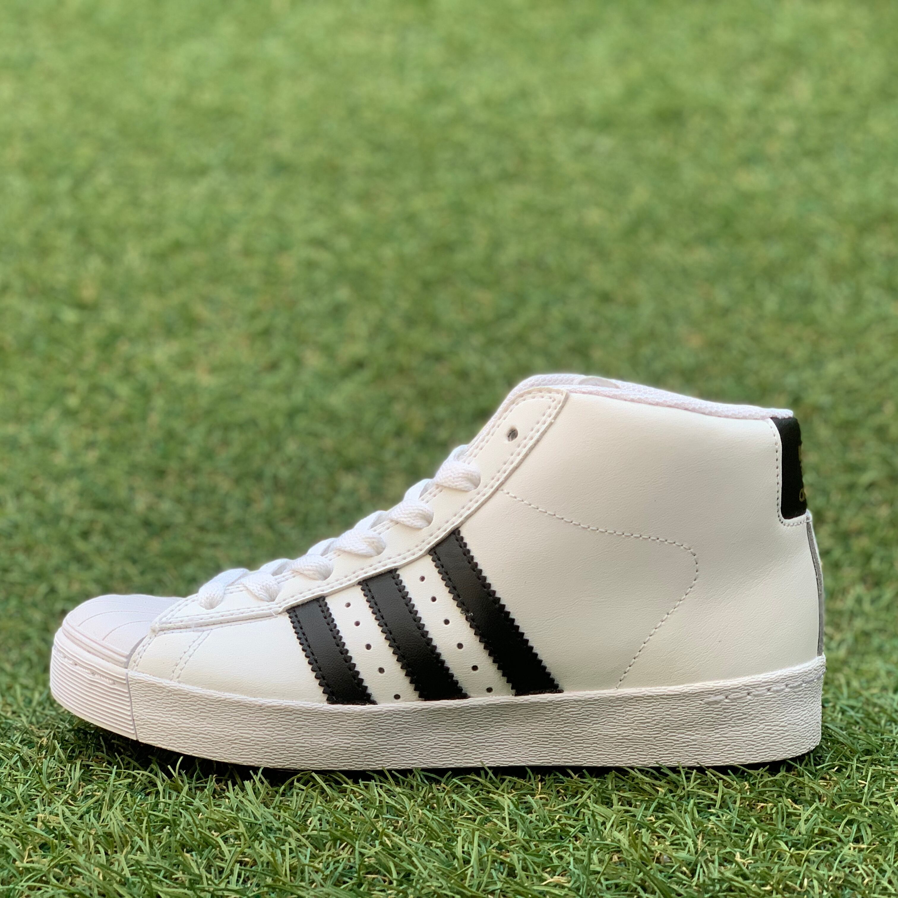 adidas PROMODEL VULC ADV アディダス プロモデル E860