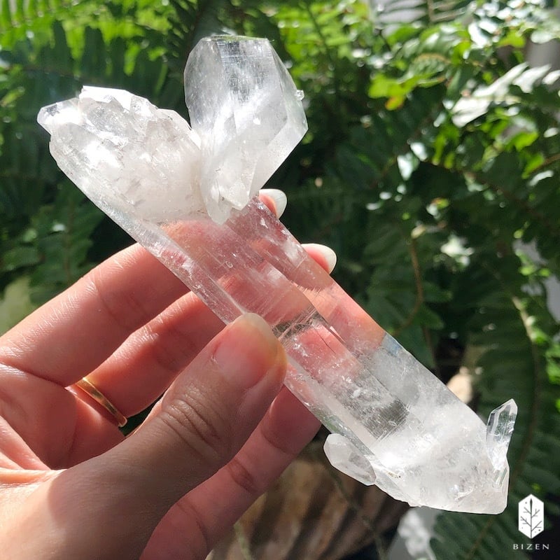 マニハール水晶 サボテンさん♪ | BIZEN Crystals