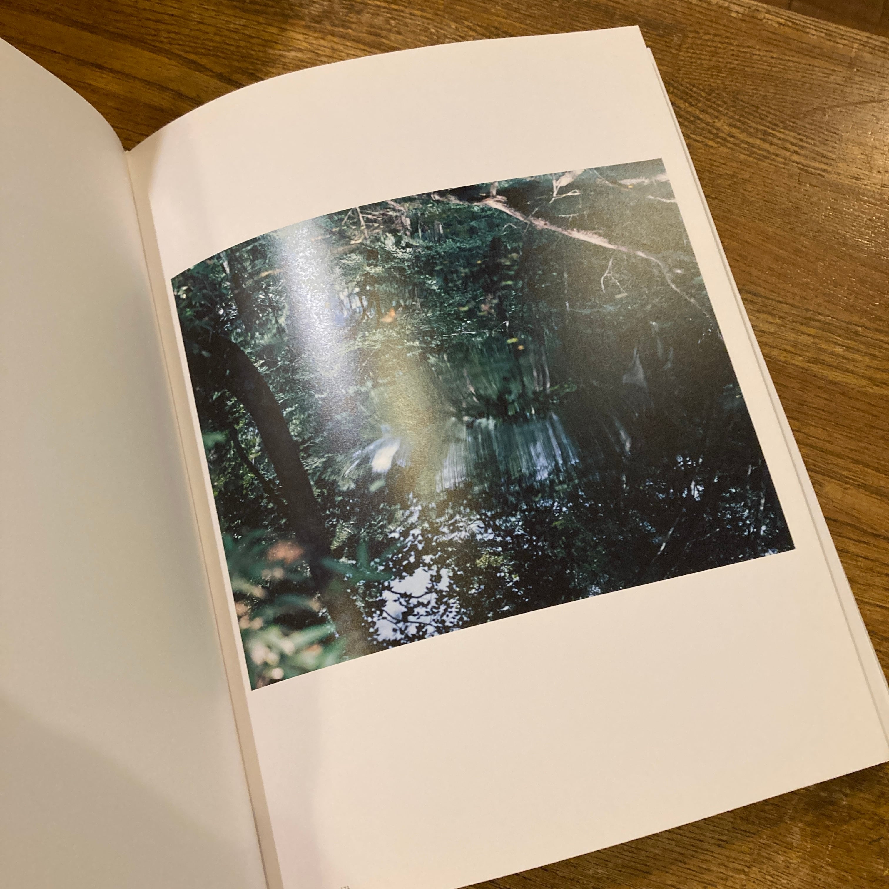 96183/図録 鈴木理策写真展 意識の流れ エディション・ノルト 東京