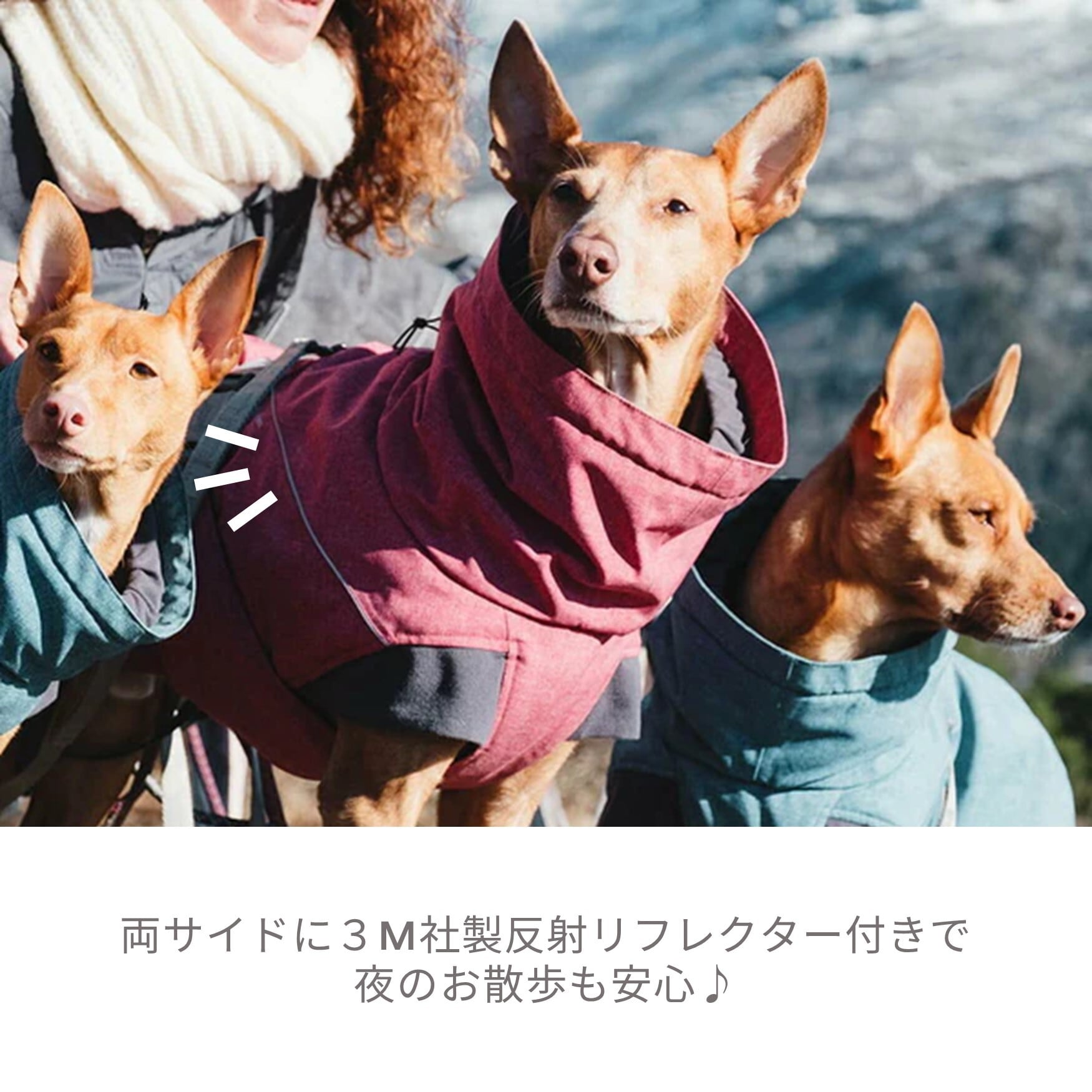 Hurtta】【フルッタ】・ドッグジャケット【エクスペディションパーカー