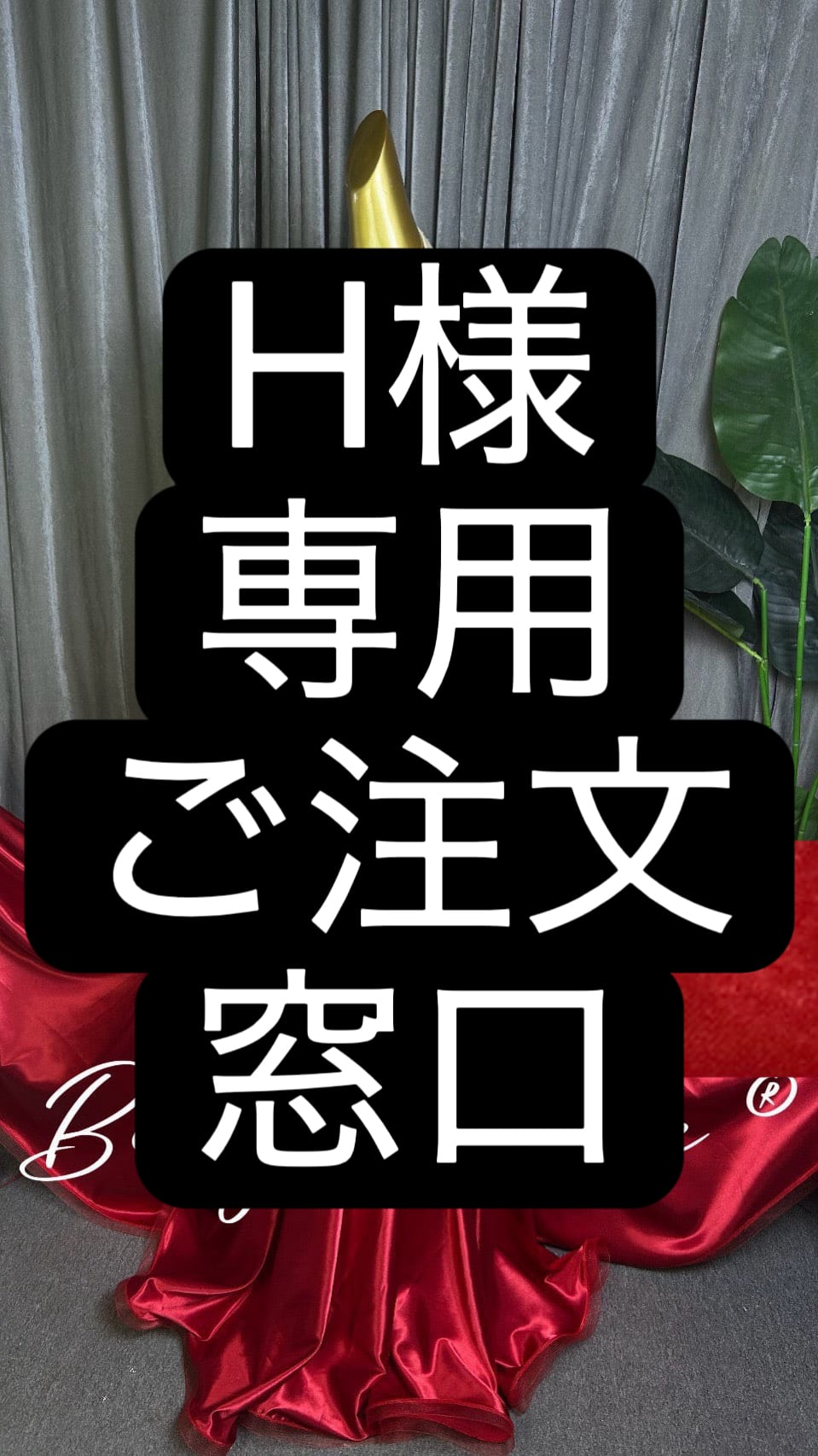 H様専用ご注文窓口 ベリーダンス オーダーメイド衣装 YM 006 202512