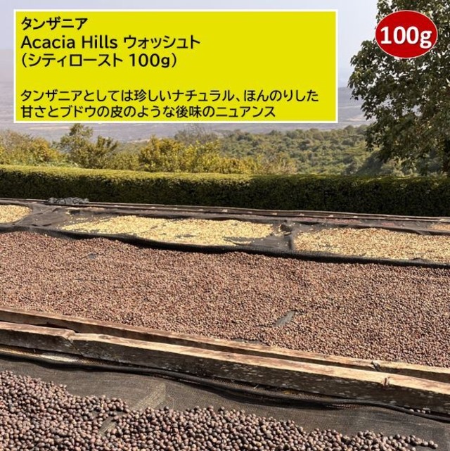 タンザニア・アカシアヒルズ・ナチュラル（シティロースト 100g）
