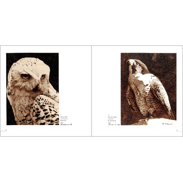 小泉春樹 画集「The Art of Haruki Koizumi」