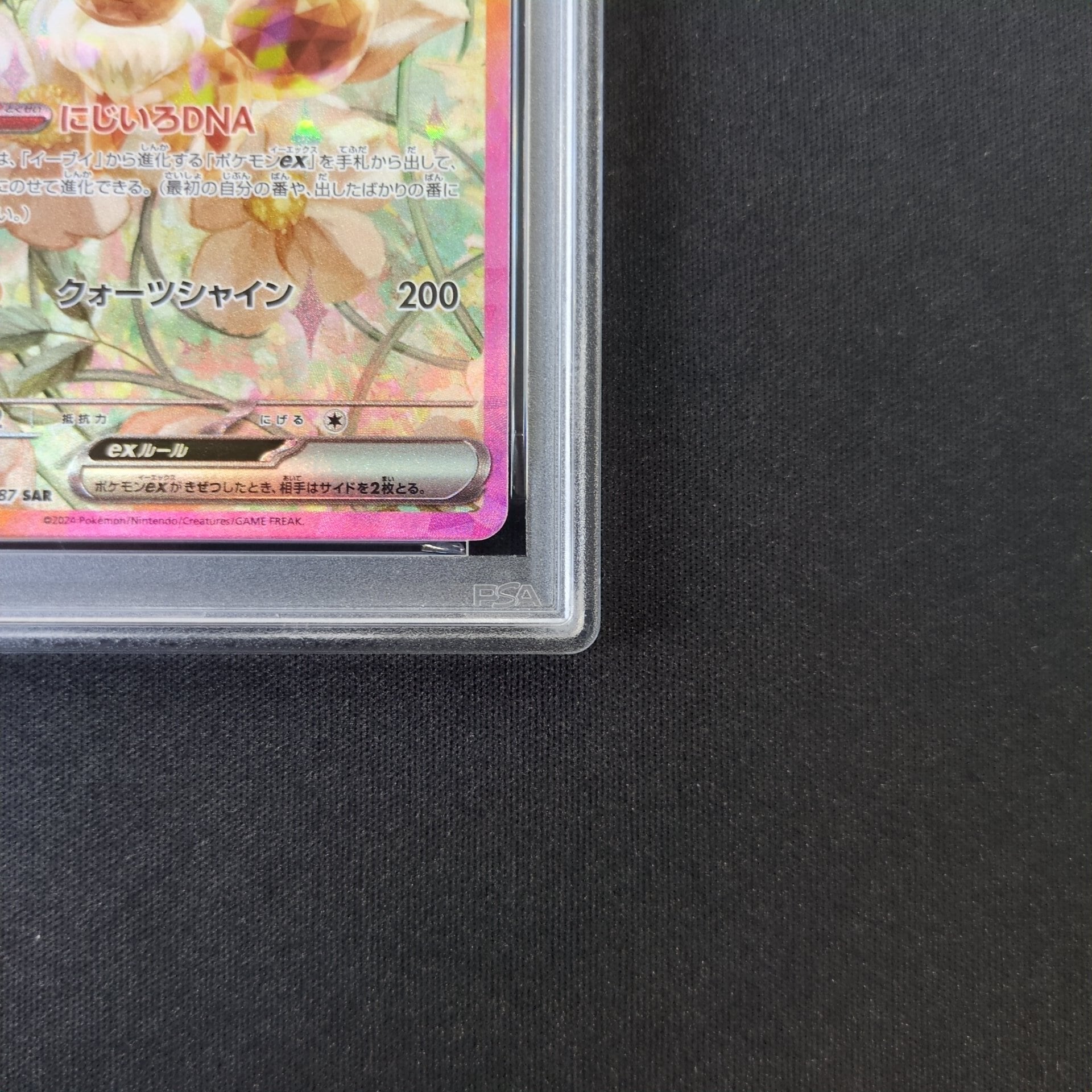 ポケモンカード PSA10 イーブイex sar 223/187 sv8a | トレカ専門店