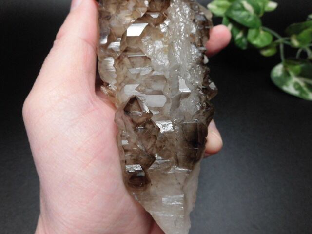 【送料無料】【高品質】ブラジル産ジャカレー水晶（アリゲータークオーツ）　no.4