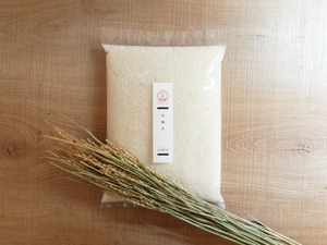 【無農薬 無肥料】和醸米　玄米　25kg