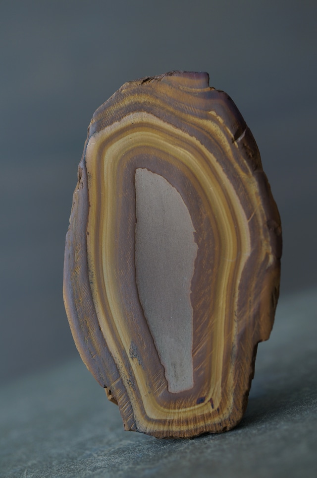 モロッコ産ストロマトライト Stromatolite 2212