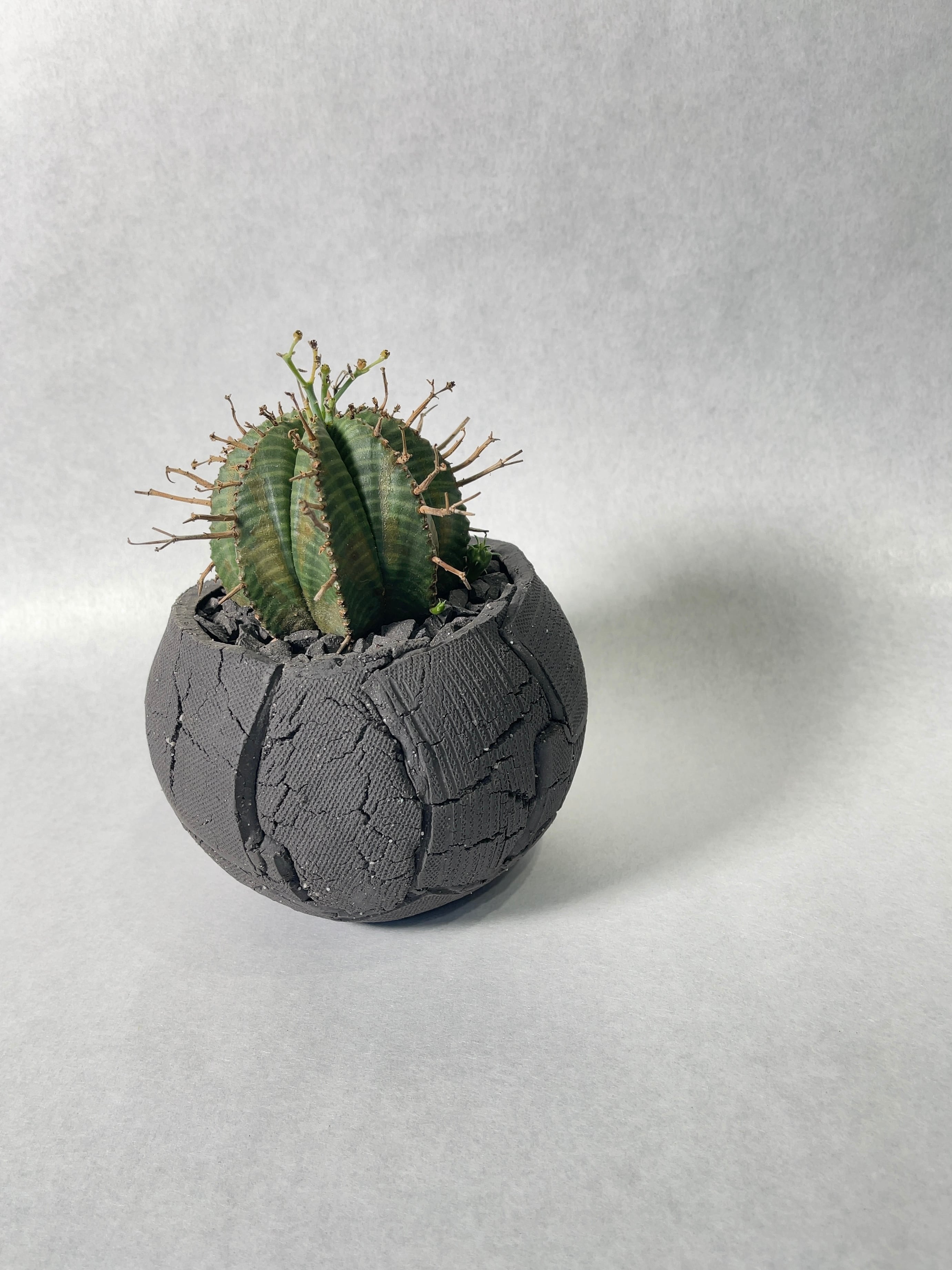 00691957d40441c48be1c7fac59092