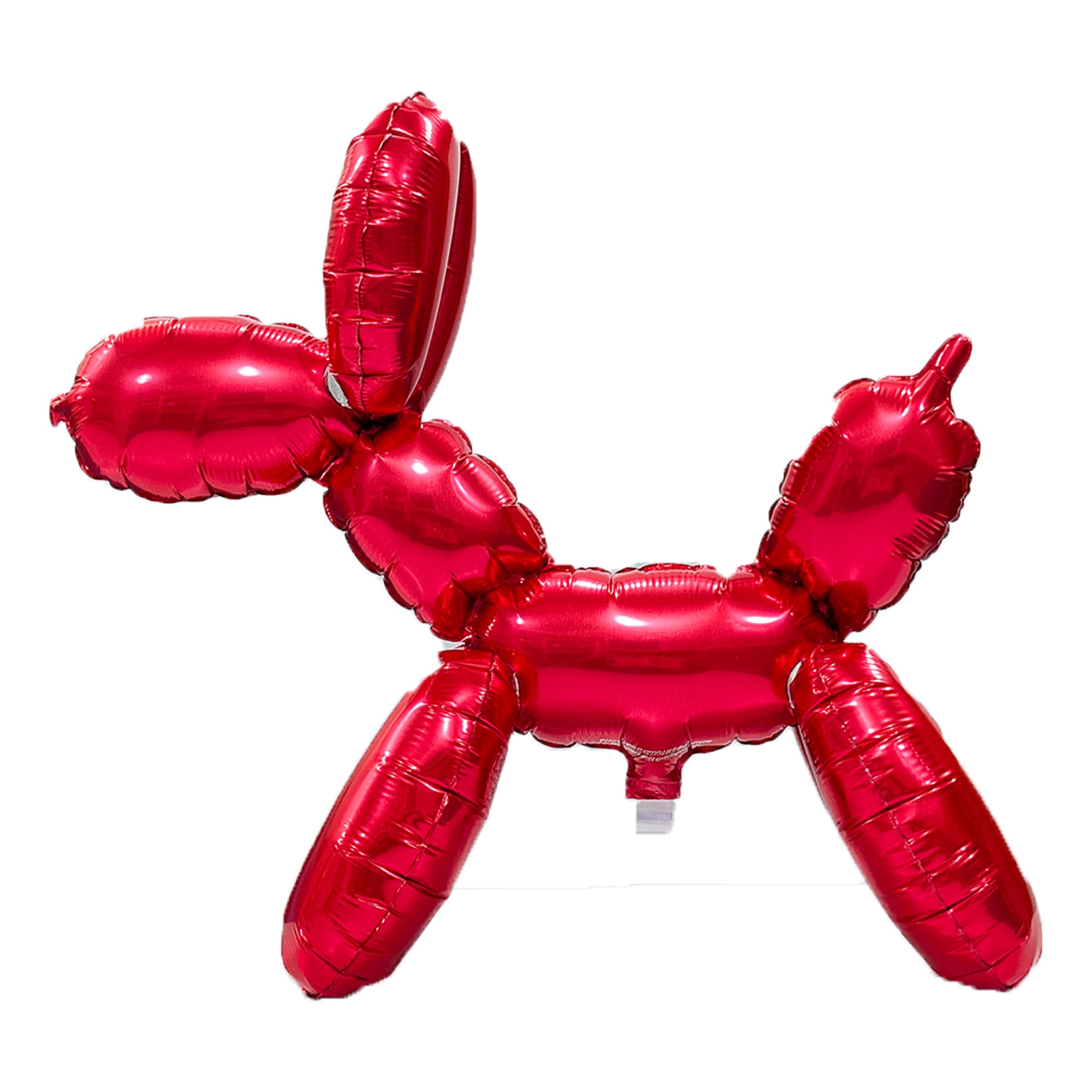 13インチ バルーンドッグ