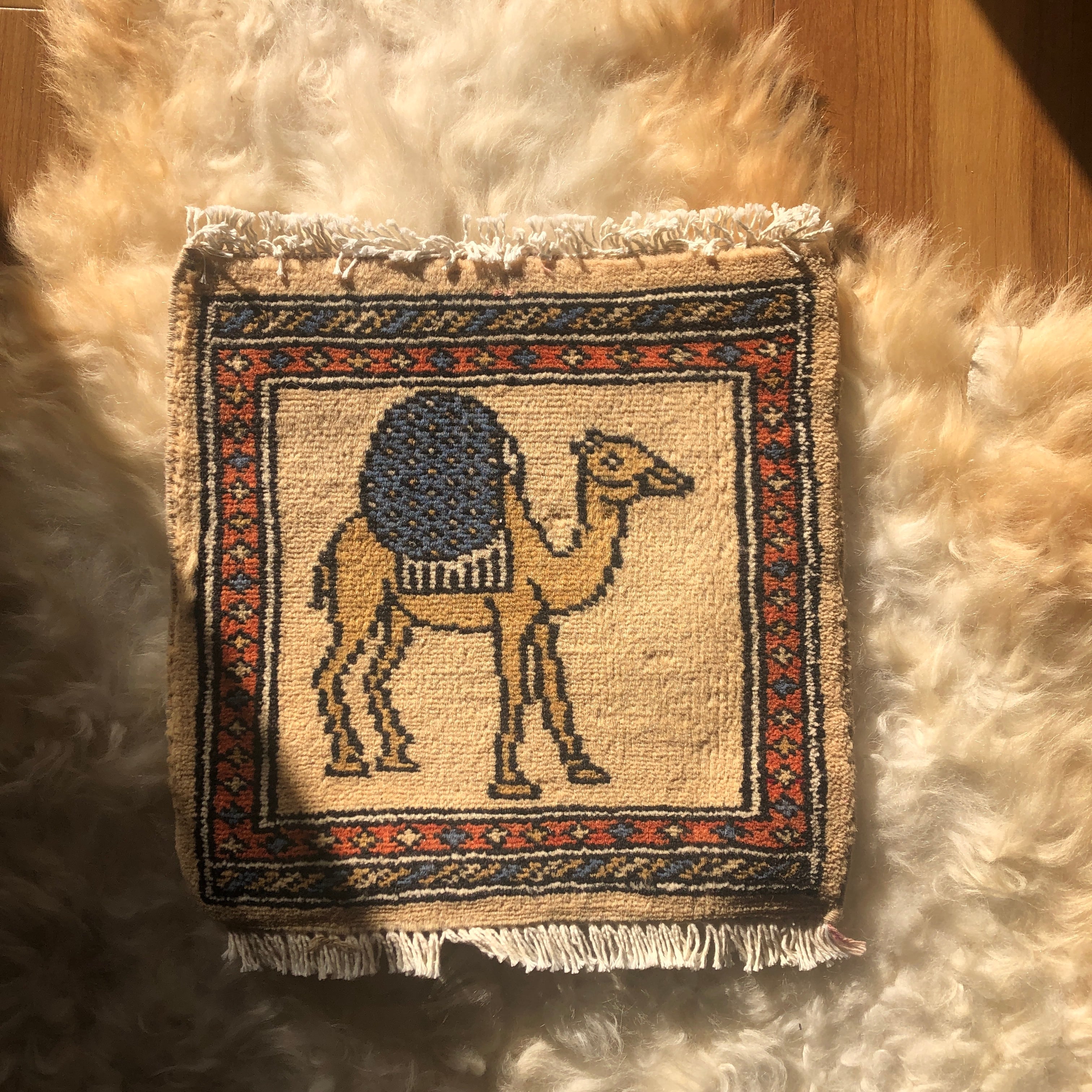 ラクダと羊毛のラグ-
