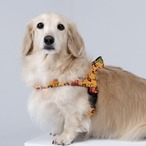 【NORA DOG】　 Little PoPo/リトルポポイージーハーネス 小型犬・中型犬Lサイズ　