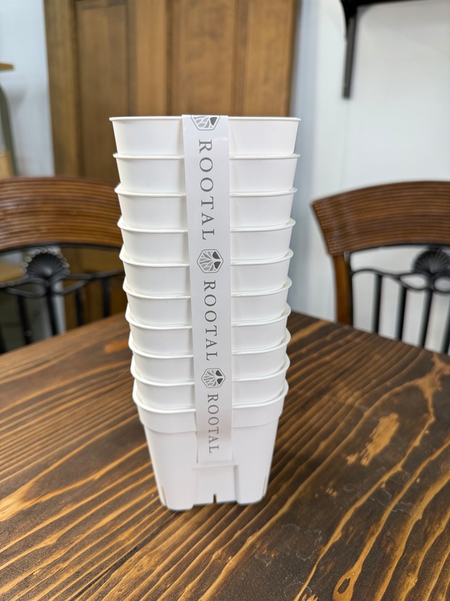 NIPPORI プレステラ105(3.5号)　ホワイト　10個セット