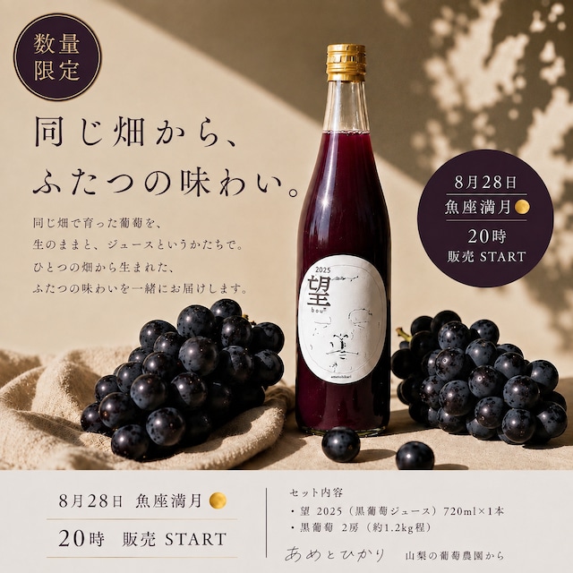 ametohikari