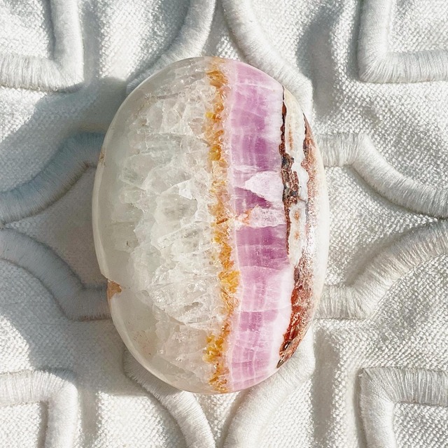 Pink Aragonite Palm 8