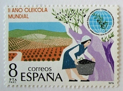 オリーブ / スペイン 1979