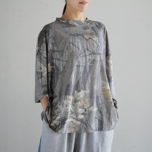 INSCRIRE -L13-I26SS-BC3