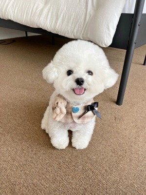 即納【hugmemore】dori cape brown