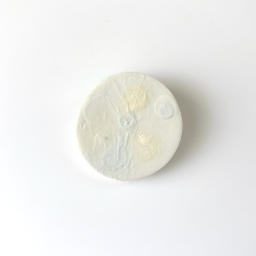 ＃25014 ブローチ／雰囲気の化石　Brooch／Atmospheric Fossil