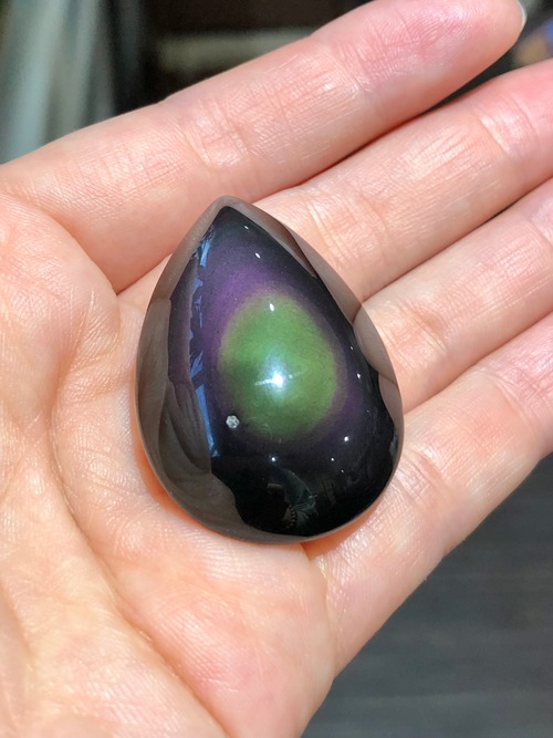 あなたを守る温かなシールド