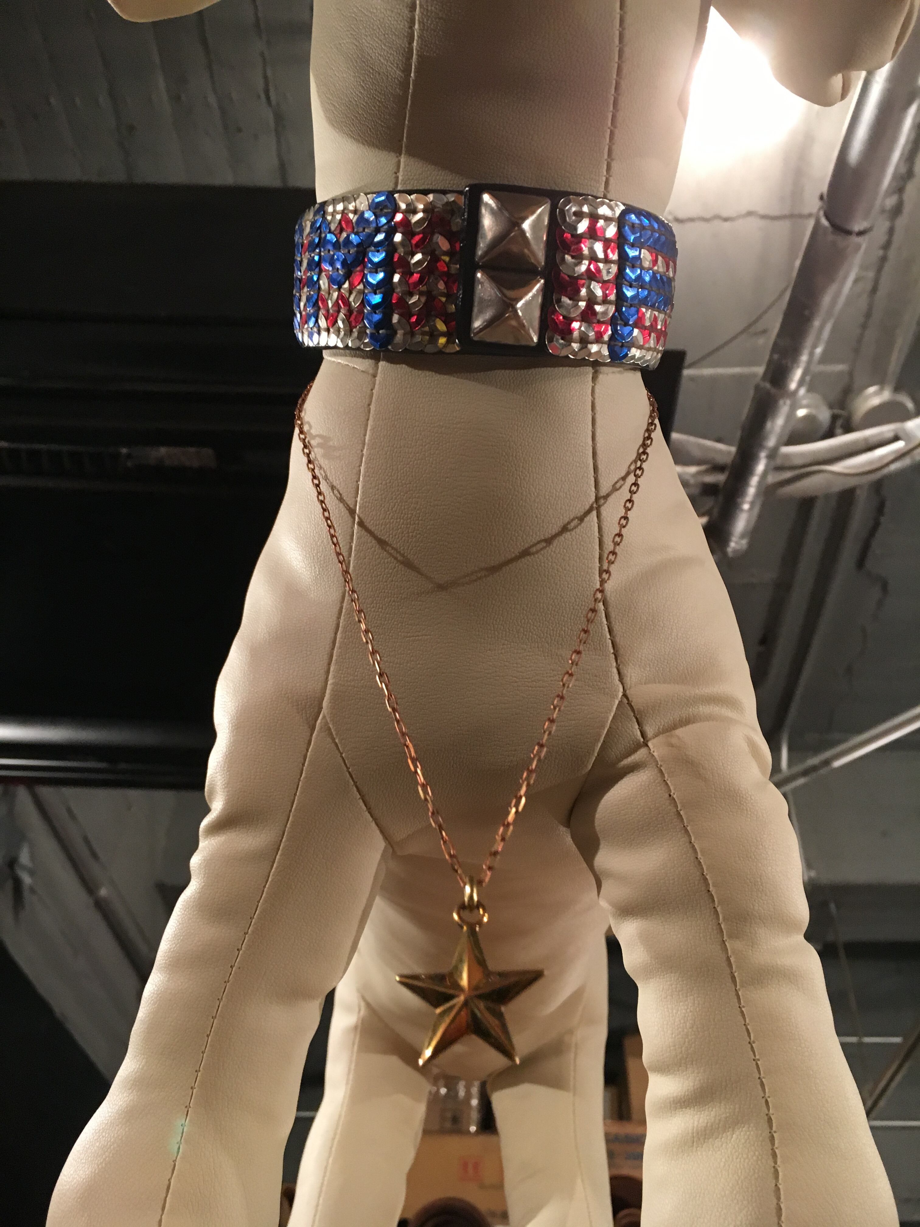 DSFスター・ネックレス(lady's)