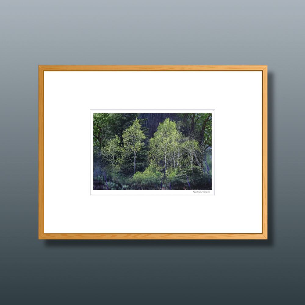 森の扉 #12 ■額縁サイズ(八切判)303㎜×242㎜