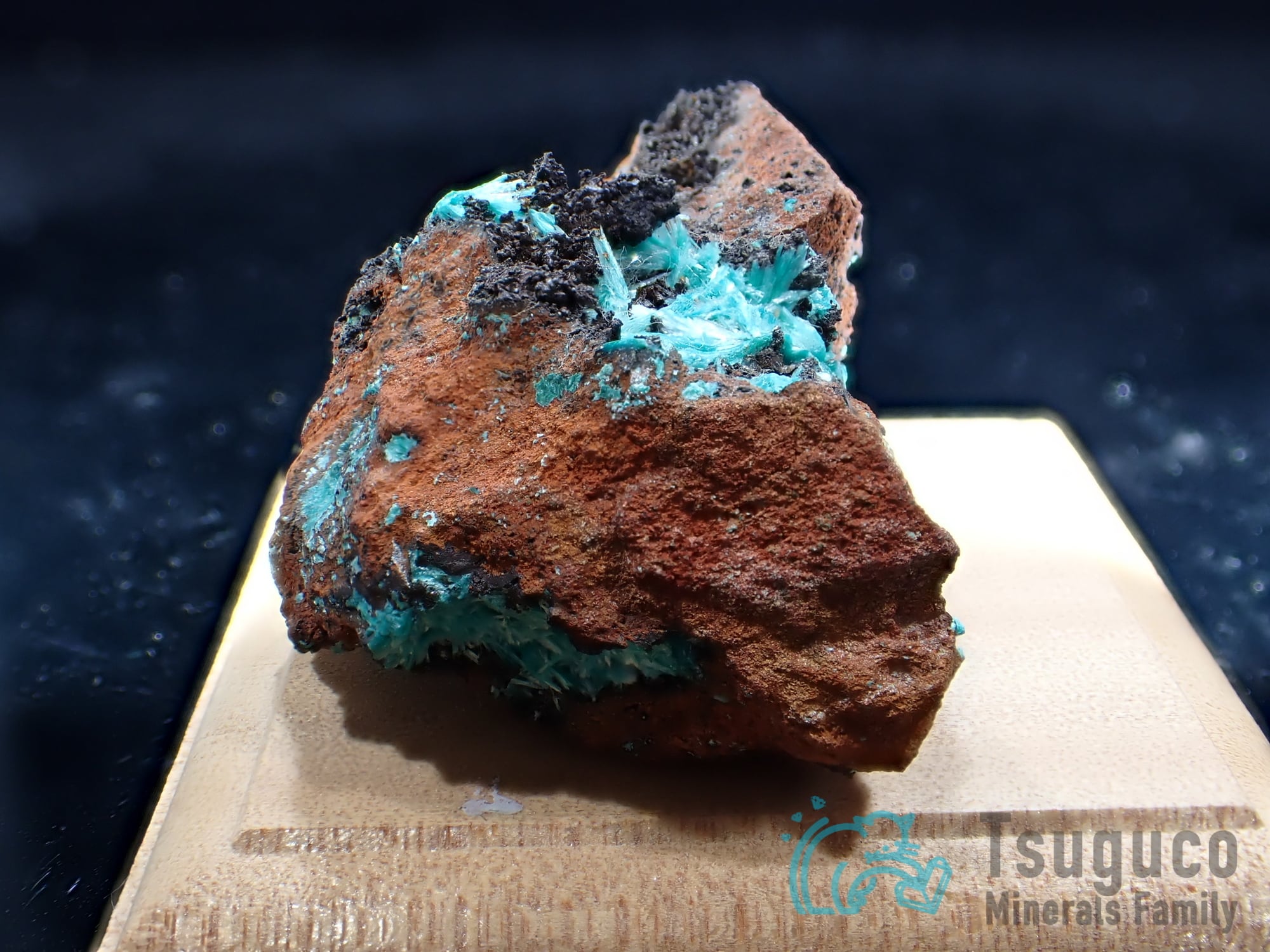 オーリチャルサイト 水亜鉛銅鉱 メキシコTM-565 | つぐこみねらるず