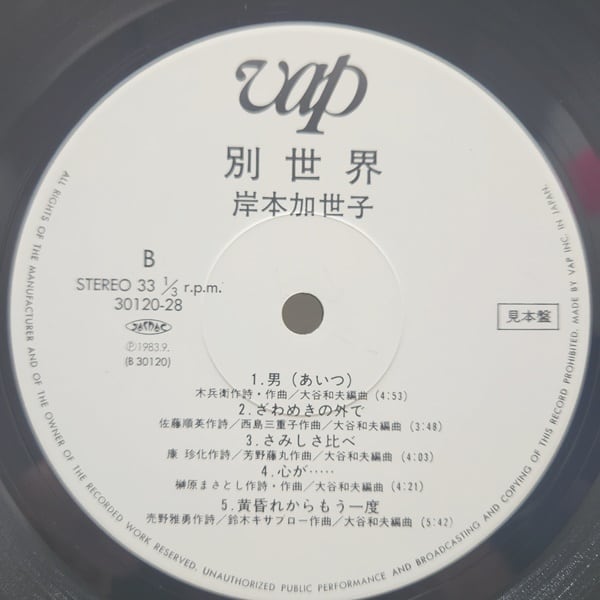 岸本加世子 / 別世界 [30120-28] - 画像4