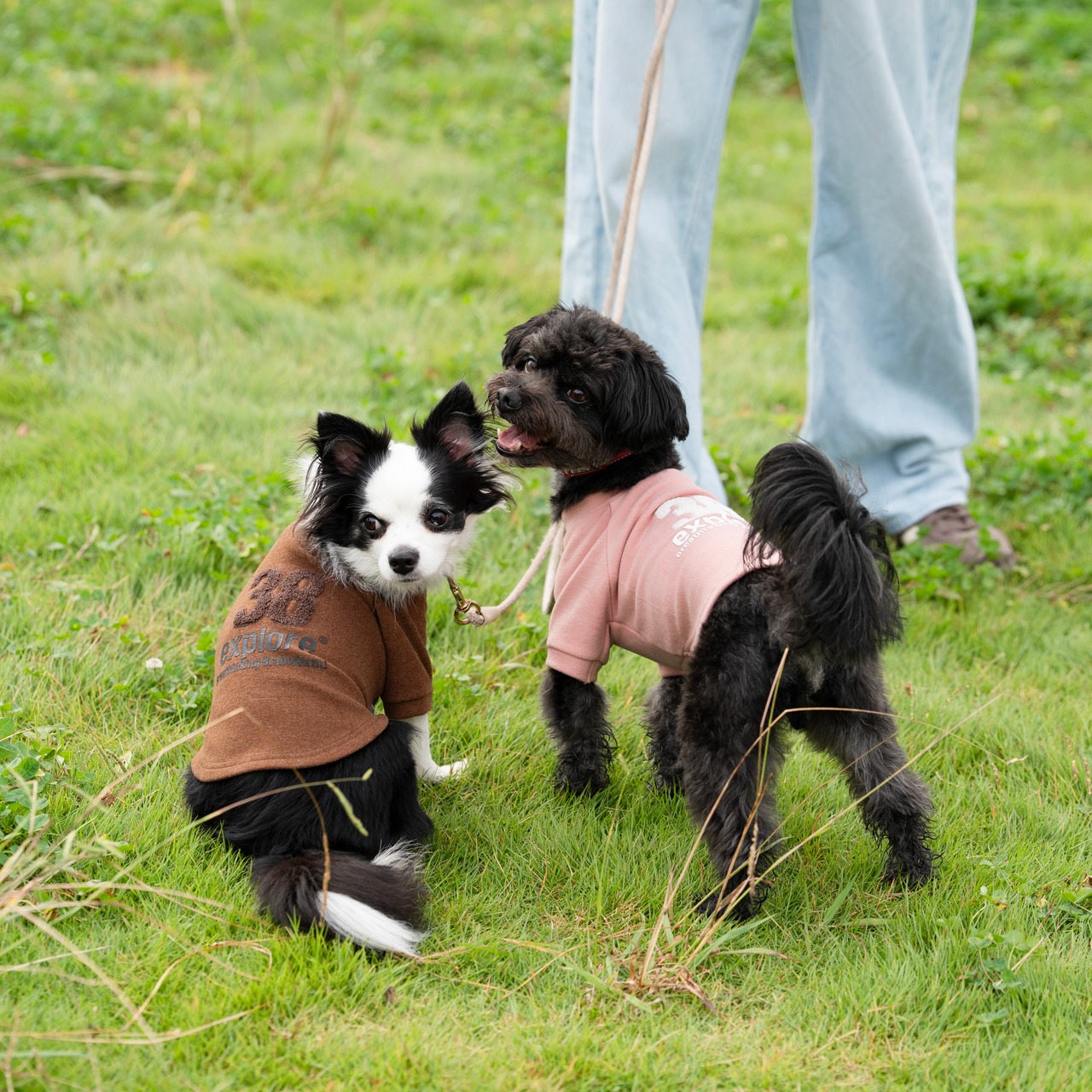 38DOG LOGO EMBROIDERY TEE / PINK