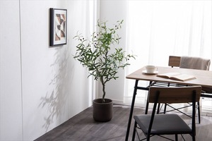 【高さ125cm】Nature 光触媒人工観葉植物 オリーブ