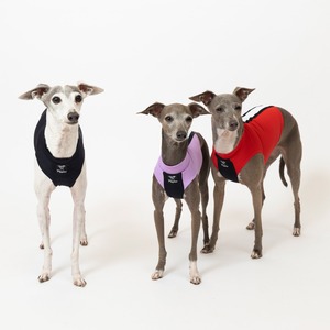 スポーツタンクトップ　purple / イタグレ服