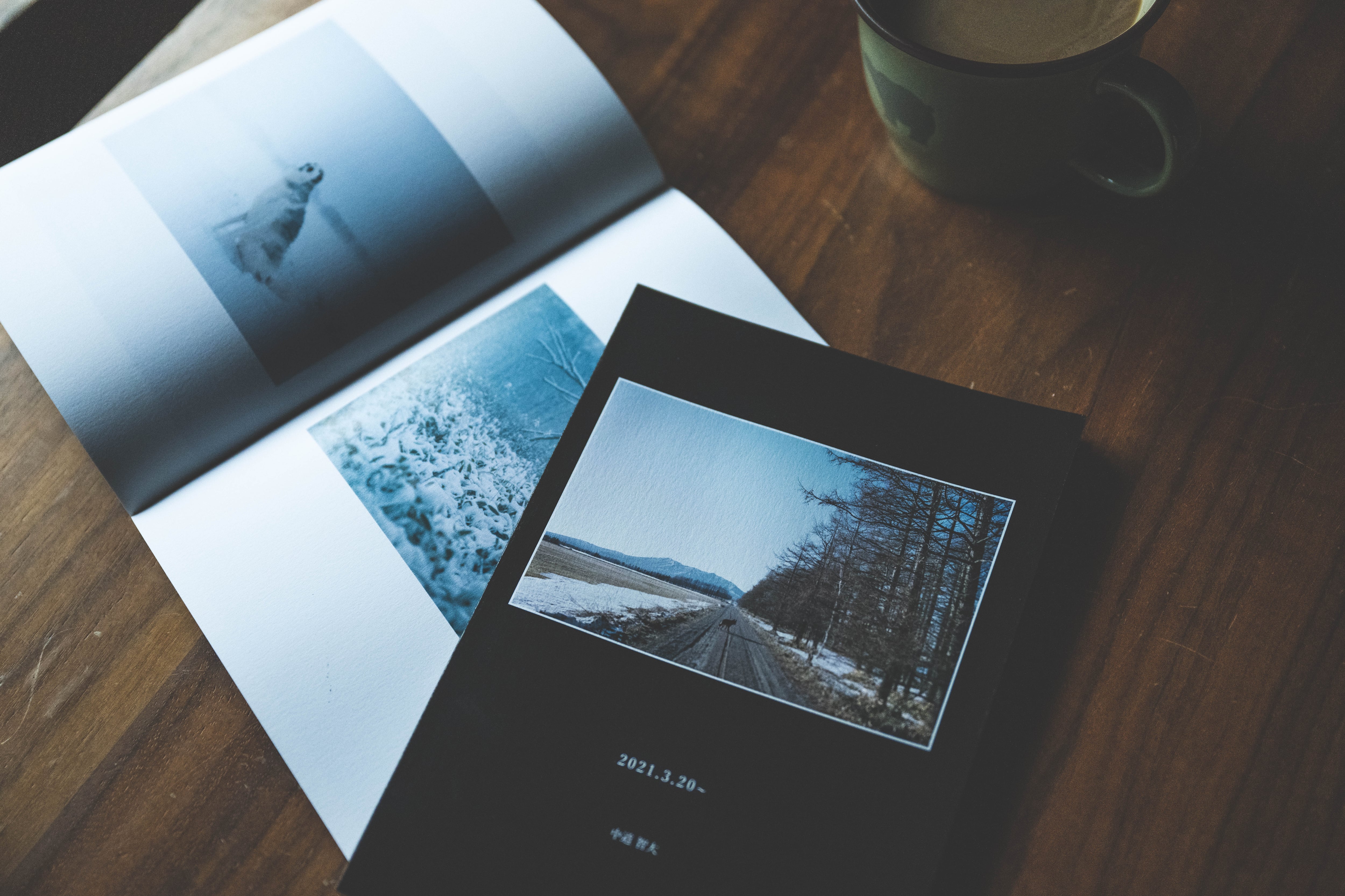 写真集「2021.3.20~」 | nichikabook