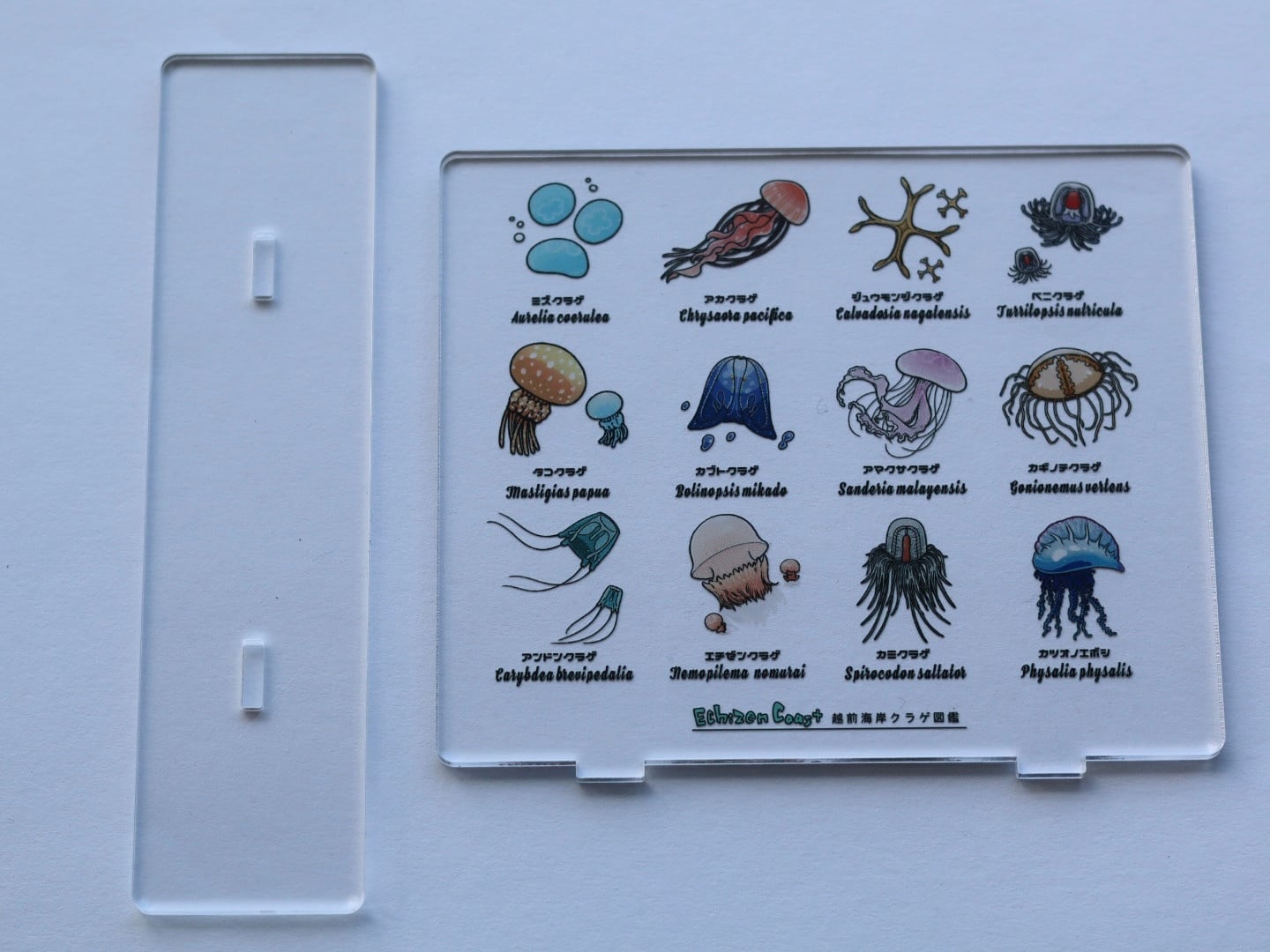 009790ae7b5288e1b3b94a722accfa