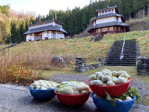 精進キムチ（1kg）