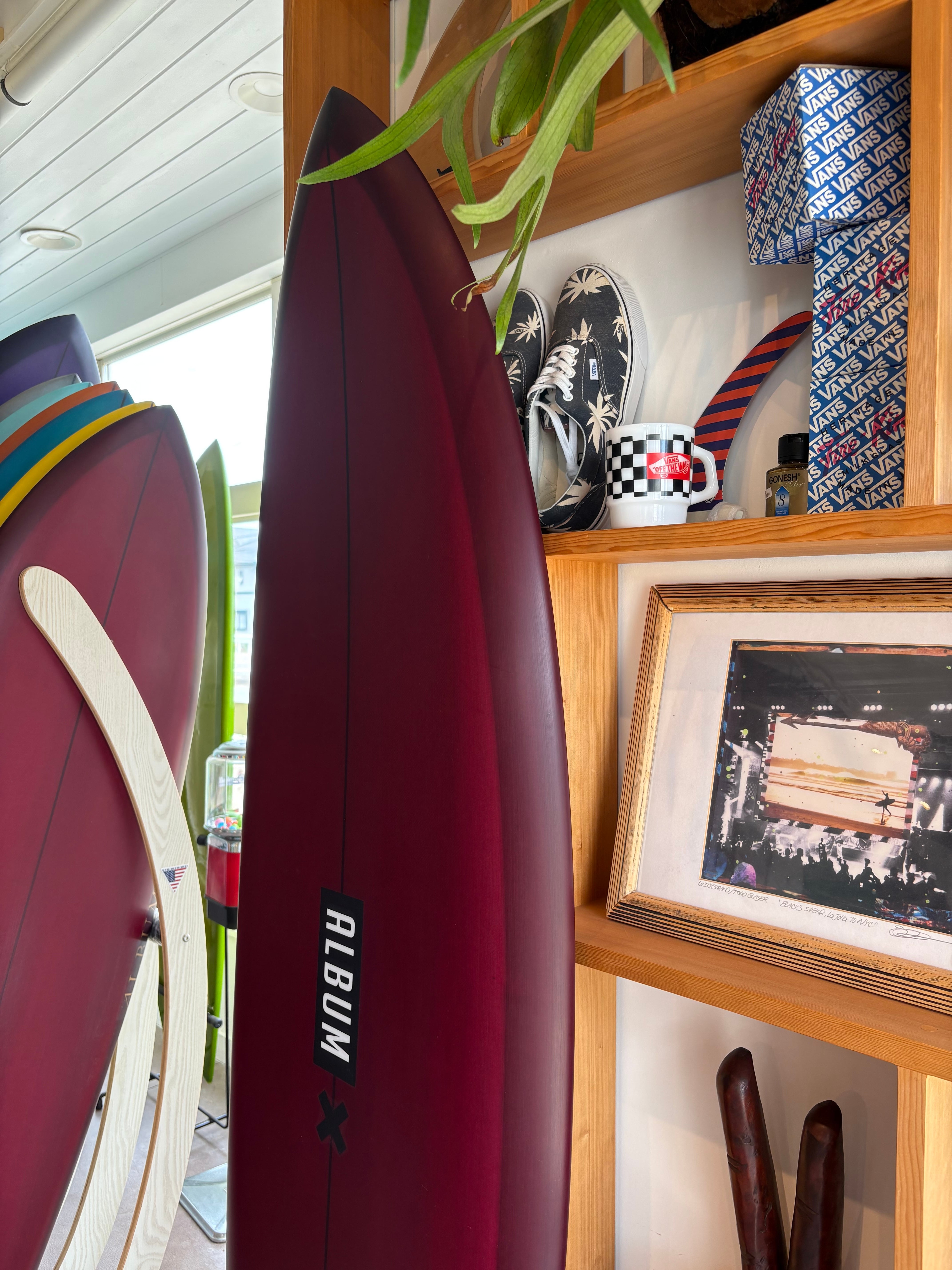 ALBUM SURFBOARDS 6'2” Vesper | Hi-tide surf shop