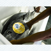 【福袋】全8商品が愉しめる「竹」