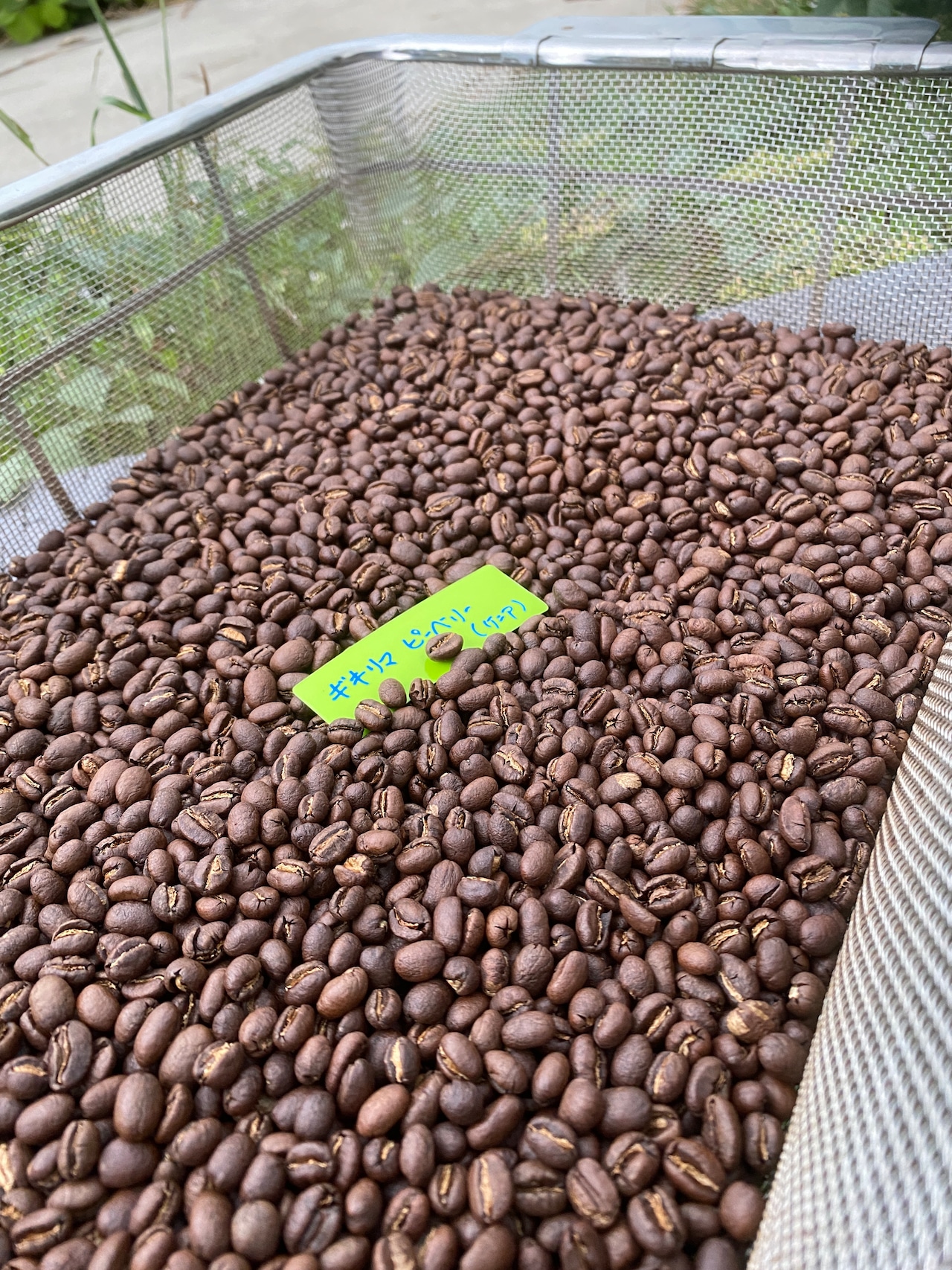 ギキリマピーベリー 100g(ケニア)