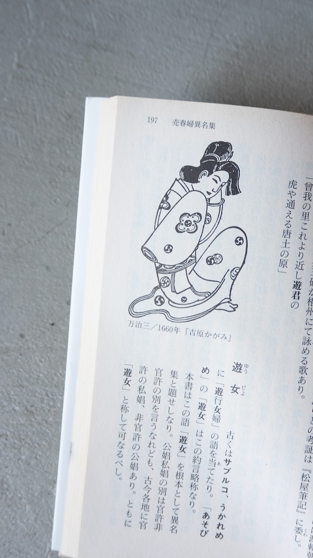 "猥褻風俗辞典" vintage Book