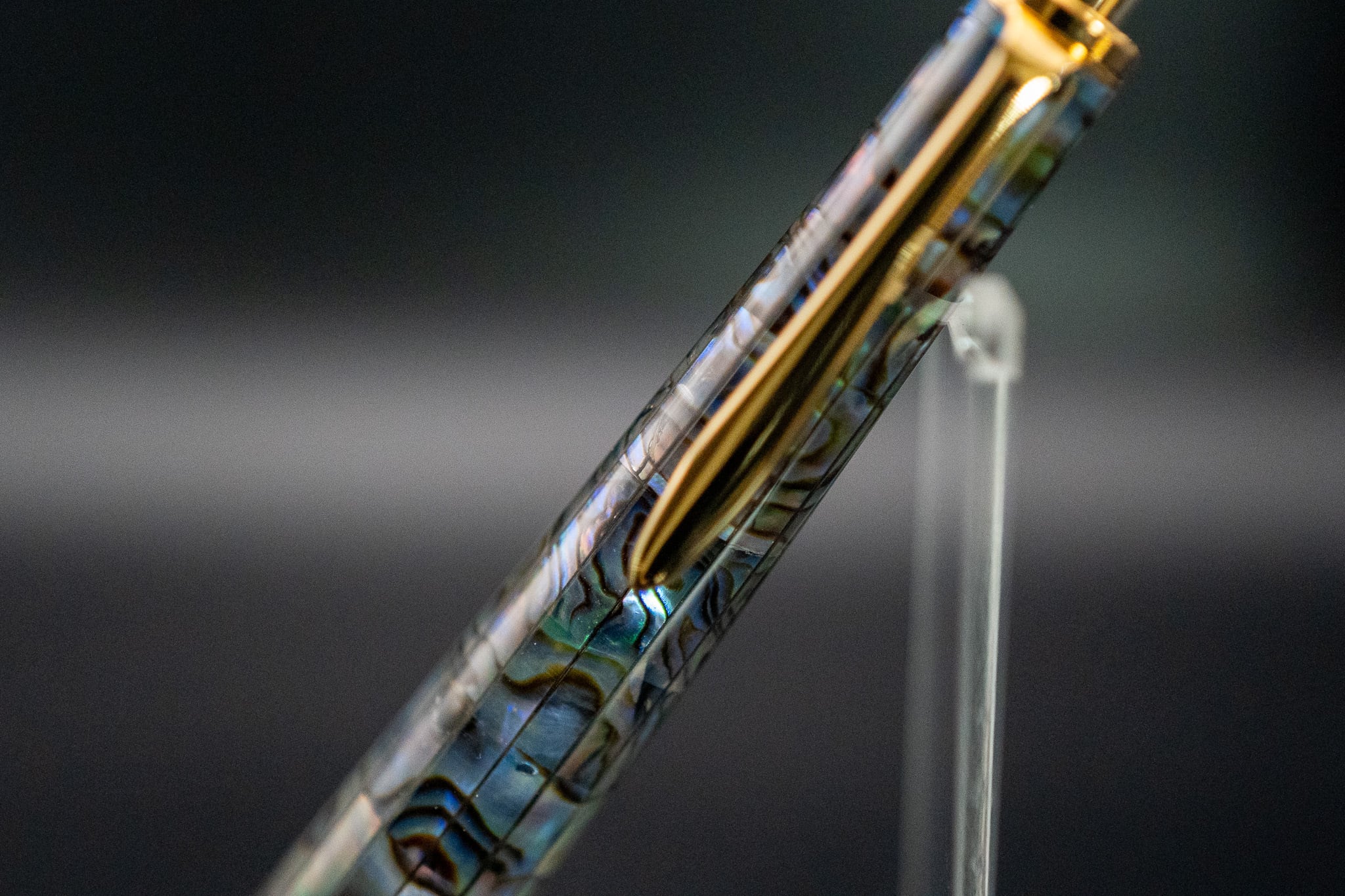 【海洋の宝石】 ニュージーランド産 アバロン gold MP