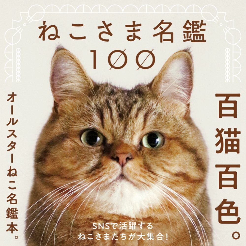 完売 】書籍┆ねこさま名鑑100 猫 フォトブック 写真集 かわいい本